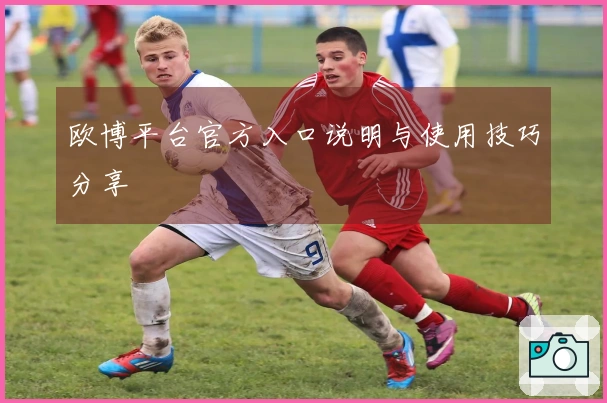 欧博平台官方入口说明与使用技巧分享