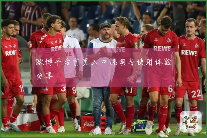 欧博平台首页入口说明与使用体验分享